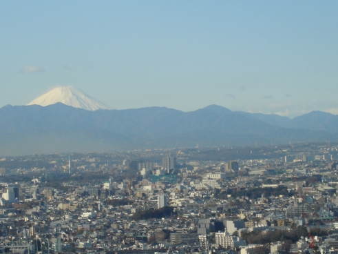 netofuji.jpg