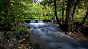 tn_paisaje-19