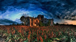 tn_paisaje-8