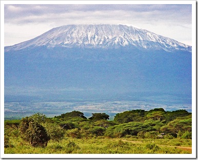 kilimanjaro