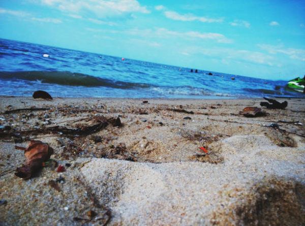 Cuando el dia mundial de las playas 