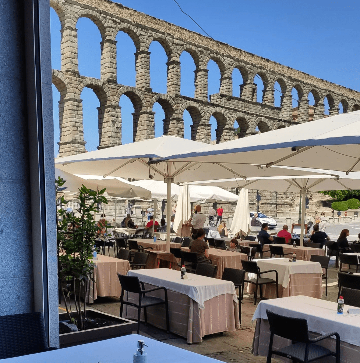 Dónde comer cochinillo en Segovia: los 10 mejores restaurantes